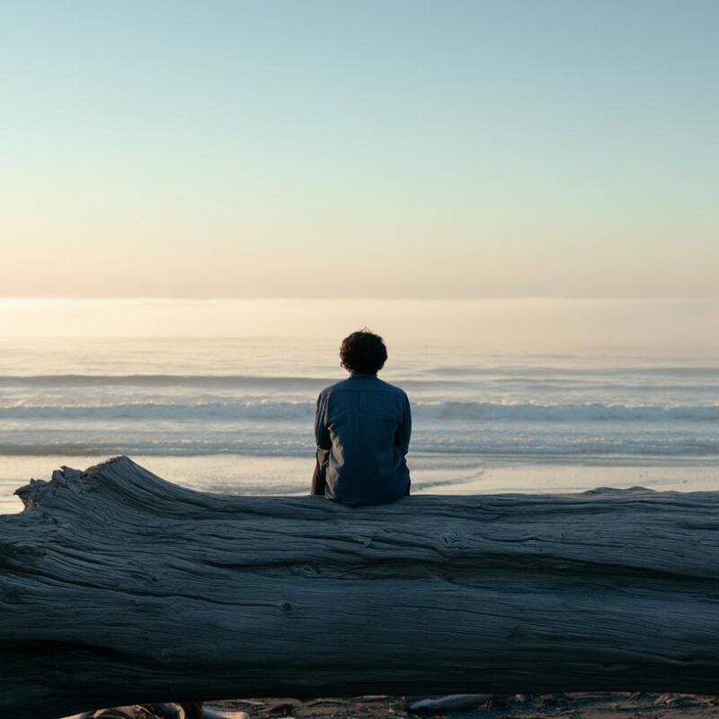 Person sitting on driftwood overlooking the ocean at sunrise, reflecting on how to control your emotions through mindfulness and emotional awareness.
